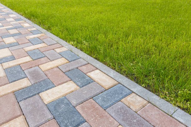 Best Commercial Driveway Paving in Homeland Park, SC